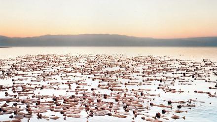 Hüllenlos in Israel, das geht meist nur in Kunstaktionen, wie sie Fotograf Spencer Tunick am Toten Meer inszenierte. 