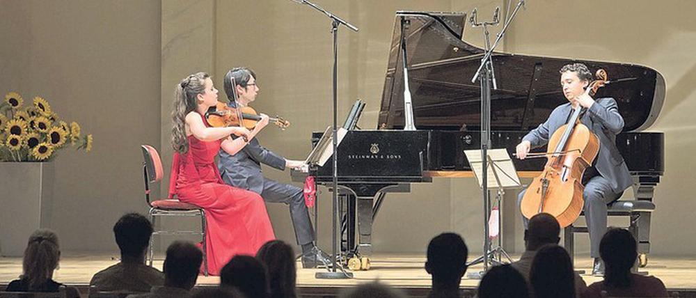 Das Amatis Trio aus Amsterdam: Die Geigerin Lea Hausmann, der Pianist Menjie Han und der Cellist Samuel Shepherd. 