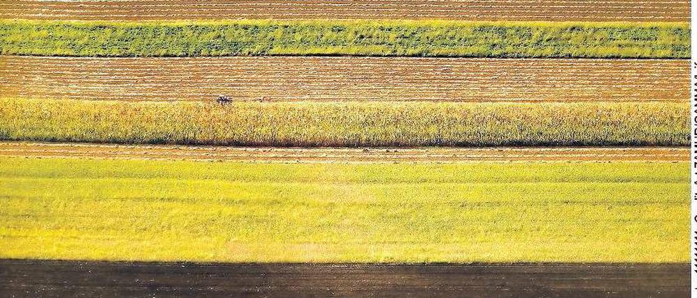Lebensmuster. Felder in der serbischen Vojvodina. Foto: Art ZAMUR/GAMMA/laif
