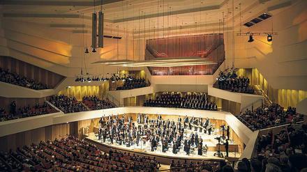 Der Klang springt das Publikum förmlich an. Musiker der Dresdner Philharmonie beim Eröffnungskonzert am Freitag auf der Bühne des Dresdner Kulturpalastes. 