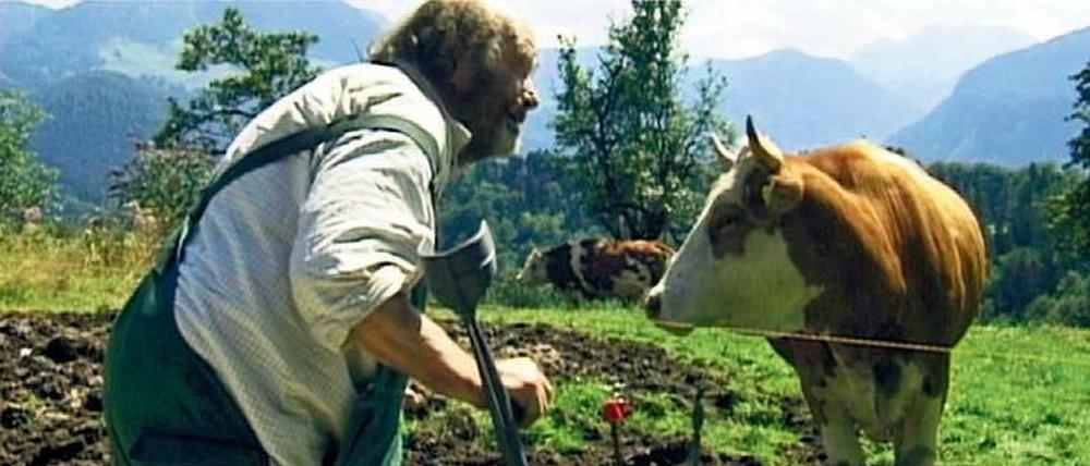 Der versehrte Bauer und seine Kuh. Szene aus Hans-Dieter Grabes Dokumentarfilm „Anton und ich“. 