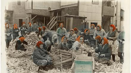 Viktor and Sergiy Kochetov, “Hardworking Women, Builders of Communism, Diligently Sorting Harvest and Having No Clue There are Beautiful Clouds Above Them”, 1978 (coloured 1980s-1990s), gelatin silver print, hand-coloured, 30×40 cm. Collection of the Museum of the Kharkiv School of Photography, Kharkiv, Ukraine