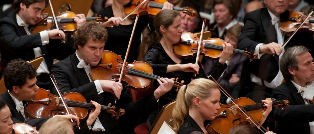 Die Streicher des Berliner Konzerthausorchesters während eines Konzertabends.