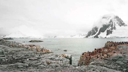 Hans-Christian Schink: Antarctica (3), 2010. 