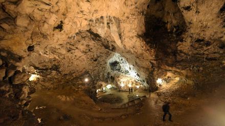 Bei archäologischen Grabungen wurden an der schwäbischen Alb die ersten Spuren von Kunst und Musik der Menschheit gefunden, weshalb die Eiszeithöhlen jetzt Unesco-Weltkulturerbe sind. 