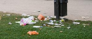 Ein Mülleimer und danebenliegender Müll im Treptower Park.