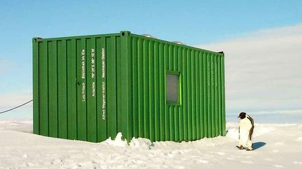 Die nördlichste Bibliothek ist ein Container in der Antarktis. Da ist noch gut lesen.