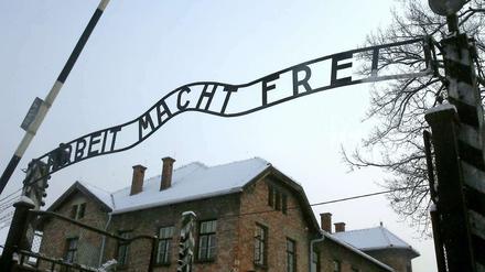 Die Berichte der Zeitzeugen lassen den Schrecken des Holocaust nicht in Vergessenheit geraten.