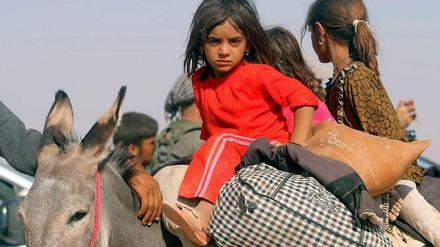 Ein jesidisches Mädchen sitzt auf einem Esel. Eine große Gruppe von Jesiden flüchtet vor den Terroristen des "Islamischen Staats" aus dem Irak über die Grenze nach Syrien.