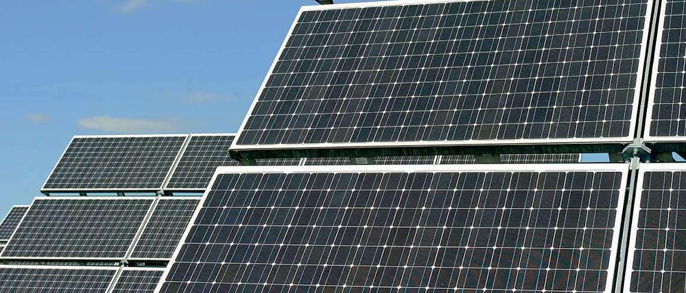 Solarzellen sind ein wichtiger Bestandteil der grünen Industrierevolution.