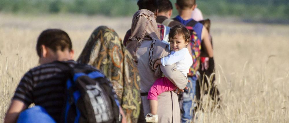 72.000 Flüchtlinge sollen in diesem Jahr nach Ungarn gekommen sein. Demnächst soll ein Grenzzaun sie von der EU fernhalten.