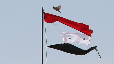 Ein Friedenszeichen? Ein Vogel fliegt in der Nähe der Stadt Qamishli über eine zerrissene syrische Flagge. 