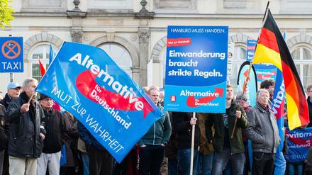"Mut zur Wahrheit": Anhänger der AfD demonstrieren 2015 in Hamburg während einer Kundgebung.