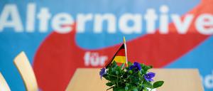 Im aktuellen Deutschlandtrend rückt die AfD zur zweitstärksten Partei auf.