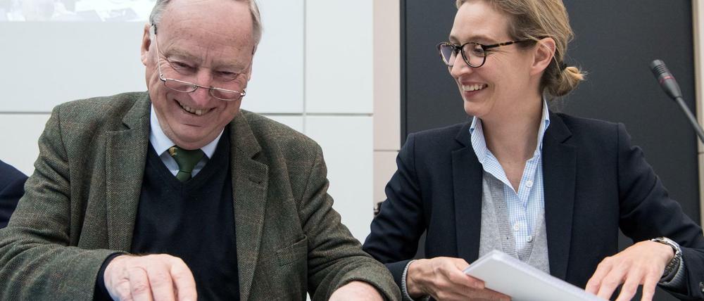 Die beiden Vorsitzenden der Bundestagsfraktion Alexander Gauland und Alice Weidel vor Beginn der Fraktionssitzung am Dienstag im Deutschen Bundestag. 