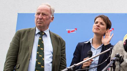 Frauke Petry (r.) und Alexander Gauland (l) werden kein Spitzenteam für die Bundestagswahl bilden. 