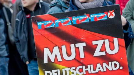 Anhänger der "Alternative für Deutschland" (AfD) demonstrieren.