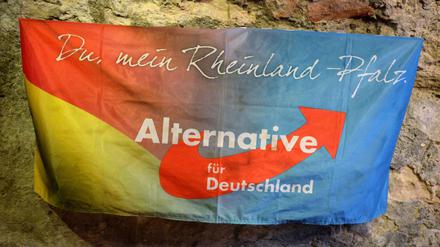 Ein Banner hängt am 13. März 2016 bei der Wahlparty der rheinland-pfälzischen AfD in Mainz.
