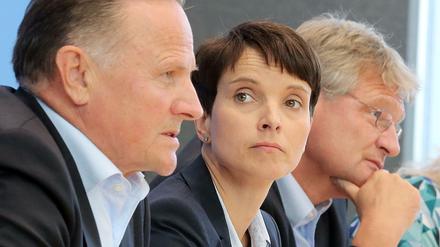 Der Berliner AfD-Chef Georg Pazderski und die Bundesvorsitzenden Frauke Petry und Jörg Meuthen.
