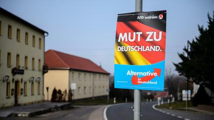 Wahlplakat der AfD für die Landtagswahl in Sachsen-Anhalt 