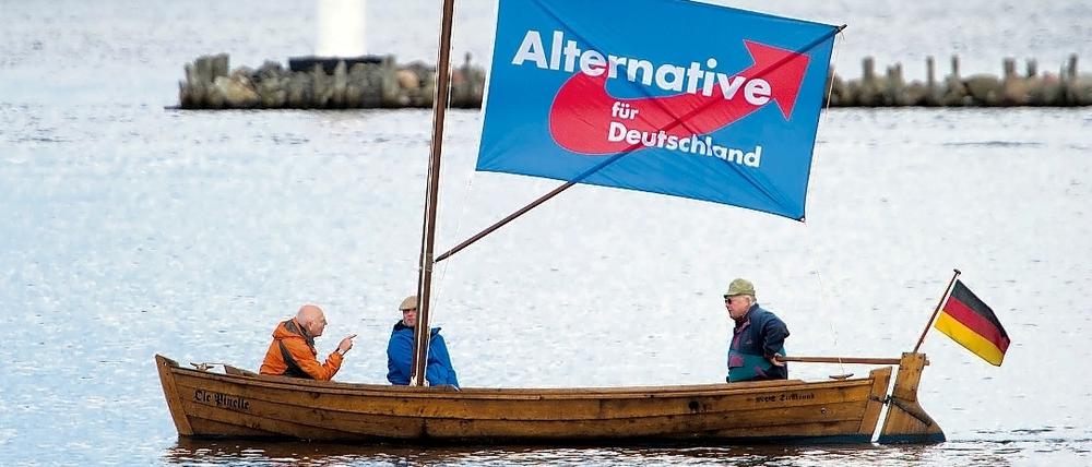 AfD-Anhänger im Hafen von Stralsund: Die Partei könnte in Mecklenburg-Vorpommern stärkste Partei werden.