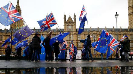 Demonstranten vor den Houses of Parliament in London