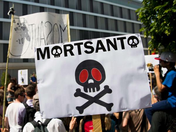 Gegen gentechnisch veränderte Nahrungsmittel gibt es immer wieder Proteste. Hier eine Demonstration vor der Unternehmenszentrale von Monsanto für Europa, Afrika und den Nahen Osten im schweizerischen Morges im Mai dieses Jahres. 