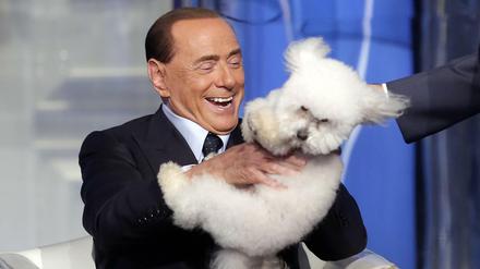Hat seinen Spaß. Silvio Berlusconi, hier vor wenigen Tagen mit einem Hund in einer Fernsehsendung spielend. 