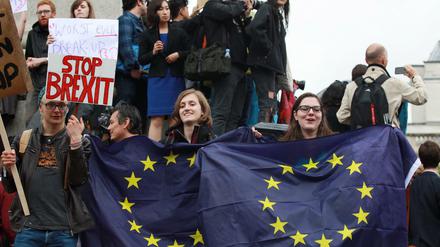 Mitten auf dem Trafalgar Square in London protestieren Engländer gegen den Brexit.