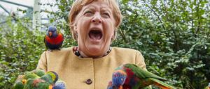 Das beißt sich: Kanzlerin Angela Merkel besuchte lieber einen Vogelpark als den Wahlkampfabschluss der Ost-CDU. 