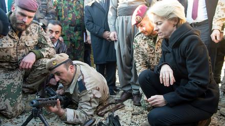 Deutsches Waffenhilfe für Kurden: Kann so der Vormarsch des "Islamischen Staats" gestoppt werden?
