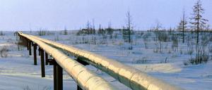 Eine Gaspipeline des deutsch-russischen Joint Ventures Achimgaz in Russland 