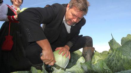 Schleswig-Holsteins Landwirtschaftsminister Robert Habeck (Bündnis 90/Die Grünen) schneidet einen Kohlkopf.