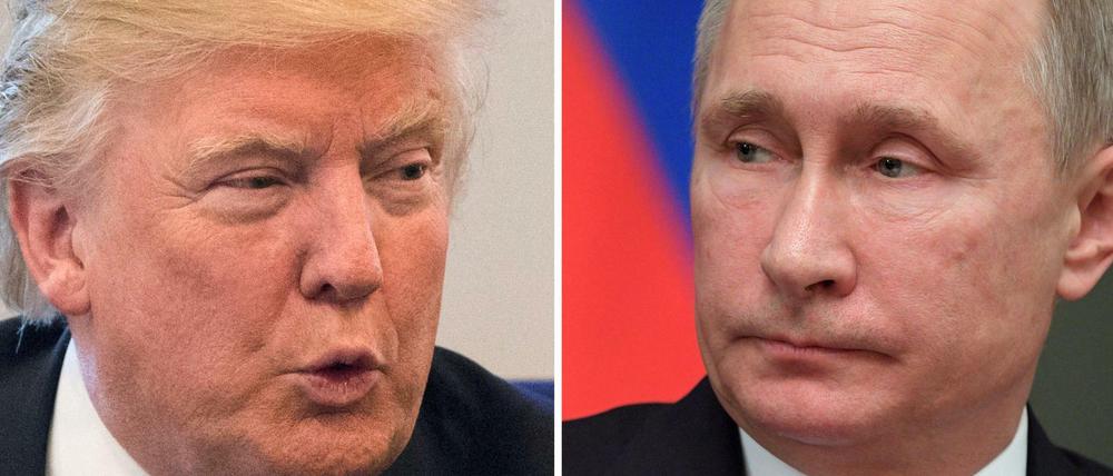Mehr als Kontakt? US-Präsident Trump und der russischen Präsident Wladimir Putin