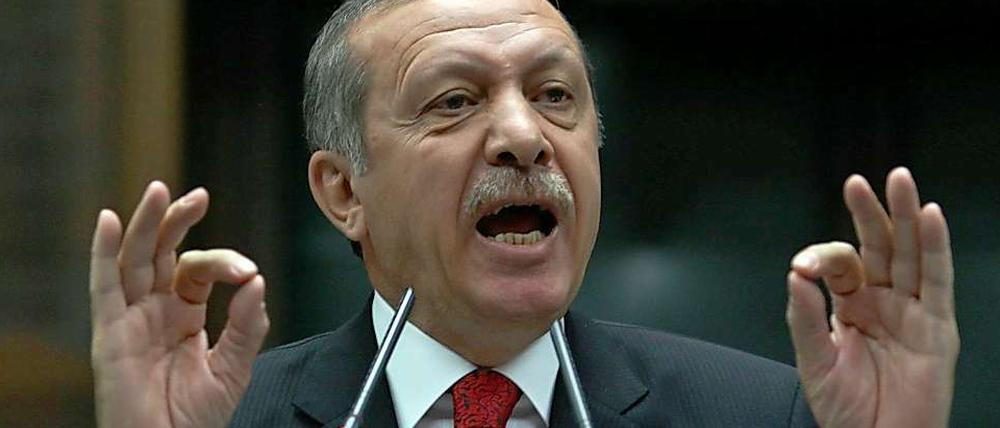 Kritiker sagen, dass Regierungschef Erdogan von Jasagern umgeben sei.