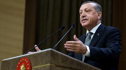 Der türkische Präsident Recep Tayyip Erdogan will keine Zugeständnisse gegenüber der EU in Sachen Anti-Terror-Gesetze machen - und er sieht sich gegenüber den Europäern in einer starken Position. 