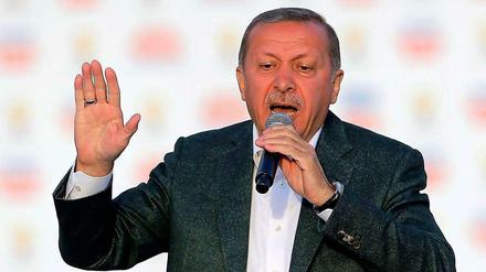 Glückwunsch zum Abschuss. Premier Erdogan bei einer Wahlkundgebung. 