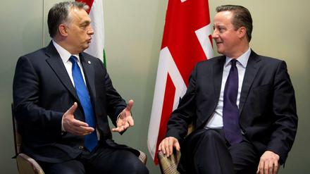 Gute Verbindung: Der ungarische und der britische Premierminister, Viktor Orban und David Cameron.