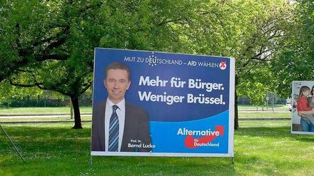 Bernd Lucke auf einem Wahlplakat der AfD.