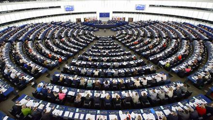 Das Europa-Parlament wird seit 1979 alle fünf Jahre gewählt.