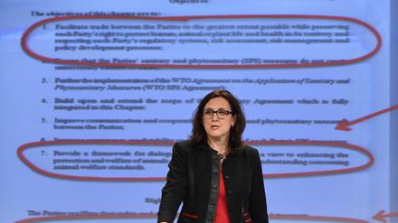EU-Kommissarin Cecilia Malmström versucht mit größtmöglicher Transparenz die TTIP-Kritiker zu besänftigen.