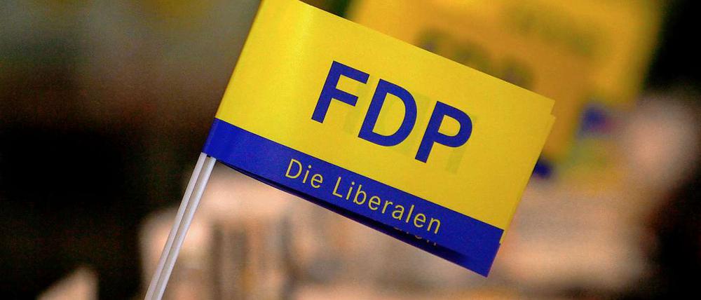 Fähnchen im Wind oder Sturm im Wasserglas? FDP-Nachwuchspolitiker gehen auf Distanz zum Chef.