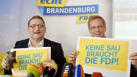 "Keine Sau braucht die FDP!", sagt die FDP. 