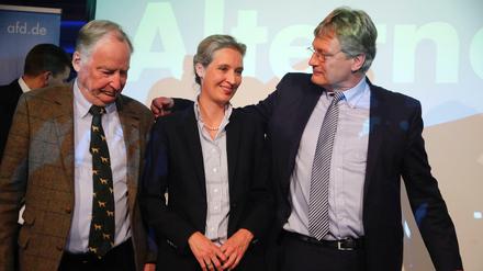 Freude bei der AfD: Alexander Gauland, Alice Weidel und Jörg Meuthen 