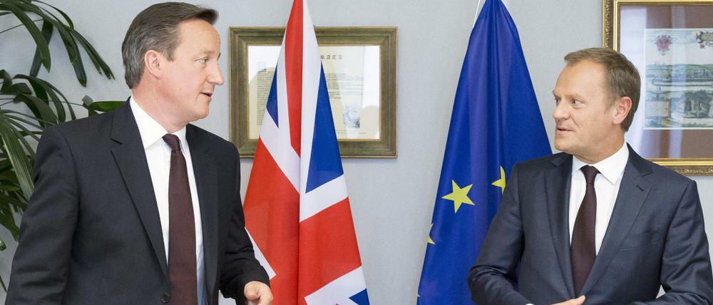 Der britische Premier David Cameron (links) und EU-Ratspräsident Donald Tusk bei einem Treffen im Jahr 2015.