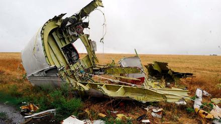 Ein Wrackteil des Fluges MH17 im Osten der Ukraine.
