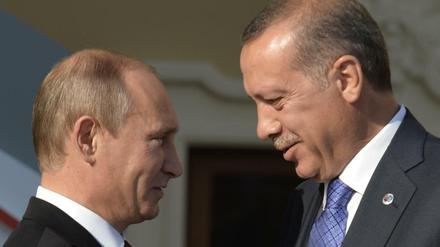 Wladimir Putin begrüßt Recep Tayyip Erdogan 2013 beim G20-Gipfel in St. Petersburg.