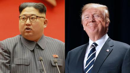 Bündnispartner? Kim (li.) und Trump haben durchaus gemeinsame Interessen.