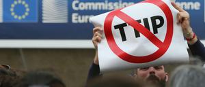 Protestpotential. Die Gegnerschaft des Freihandelsabkommens TTIP ist vielfältig - hier eine Demonstration in Brüssel.
