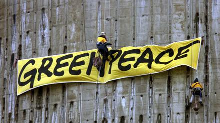Greenpeace dürfte die einflussreichste Umweltorganisation der Welt sein. Aber die Welt dreht sich, und Greenpeace muss sich ebenfalls ändern, um erfolgreich bleiben zu können.